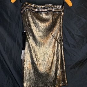 Bebe Armor Sequin Tube Dress